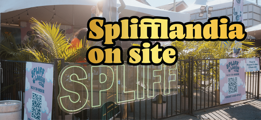 A fenced outdoor event area with sunlit plants, signs reading “Splifflandia,” and large bold text over the image that says “Splifflandia on site.”.
